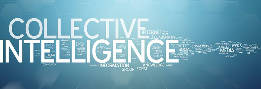 Intelligence collective